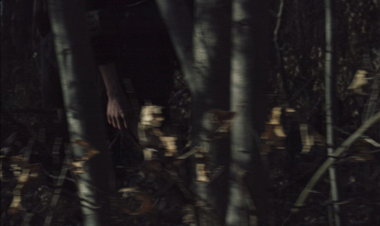 The Alternative still